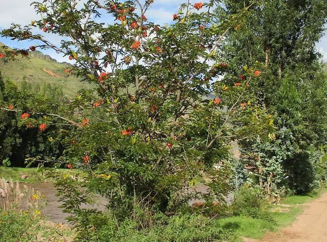 Wayqi Wasi Písac